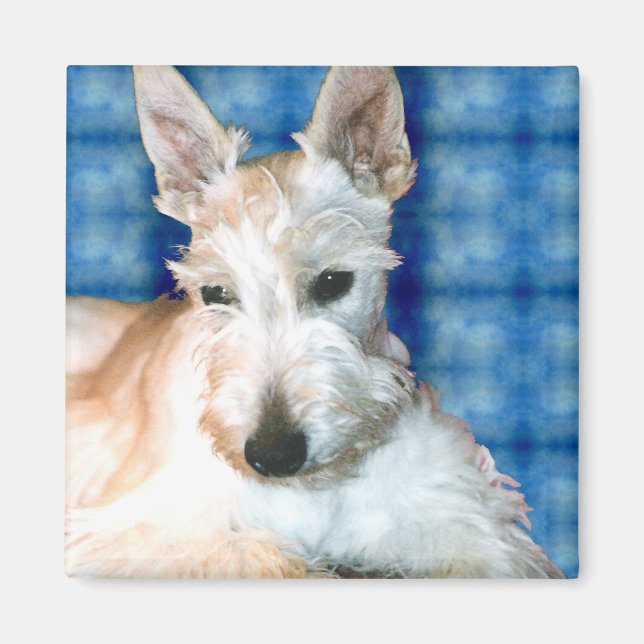 Wheaten Scottie Magnets (Front)