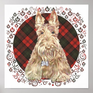 Wheaten Scottie Tartan Poster