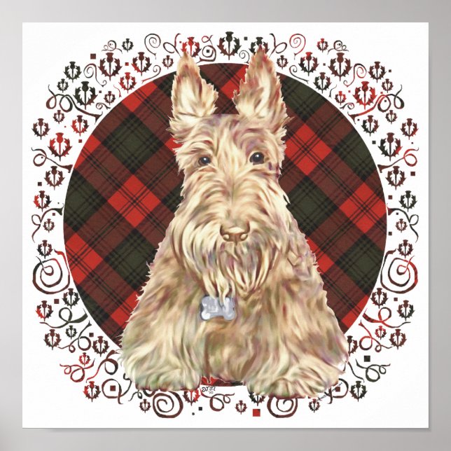 Wheaten Scottie Tartan Poster (Front)