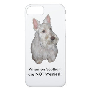Wheaten Scotties are NOT Westies! Case-Mate iPhone Case