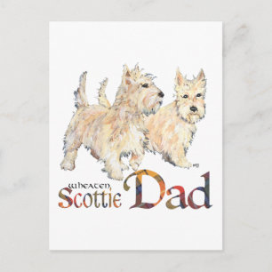 Wheaten Scotties Celebrate Father's Day Postcard