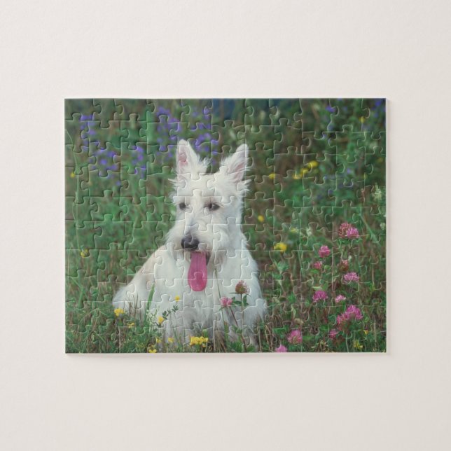 Wheaten Scottish Terrier Dog Puzzle (Horizontal)