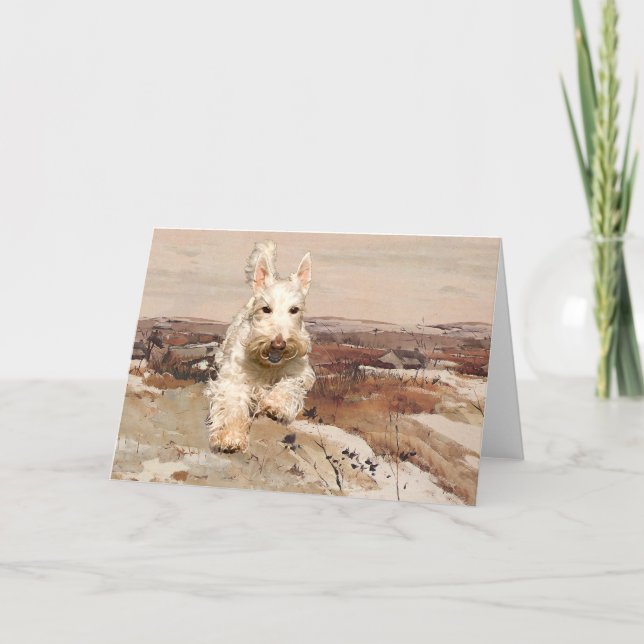 Wheaten Scottish Terrier Greeting Card (Front)