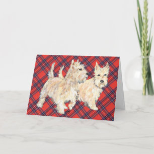 Wheaten Scottish Terrier Greeting Card