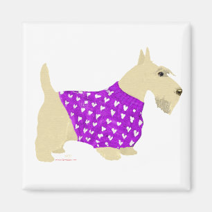 Wheaten Scottish Terrier Sweater Magnet