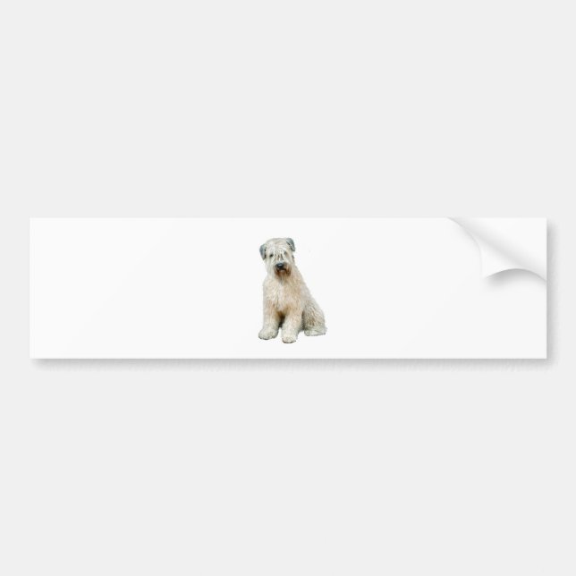 Wheaten Terrier (C) Bumper Sticker (Front)