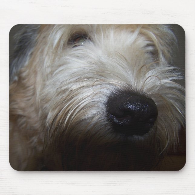 Wheaten Terrier Dog Face Mouse Pad (Front)