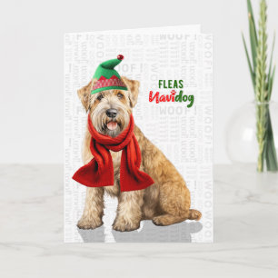 Wheaten Terrier Dog Funny Fleas Navidog Christmas Holiday Card