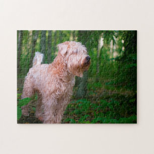 Wheaten Terrier Dog Jigsaws. Jigsaw Puzzle