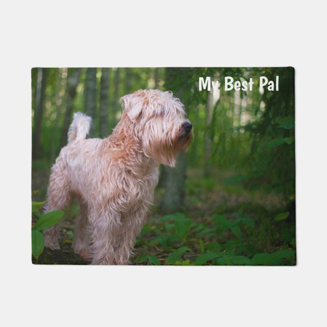 Wheaten Terrier. Doormat (Front)
