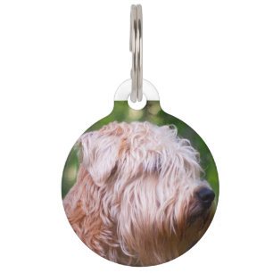 Wheaten Terrier Pet Tag