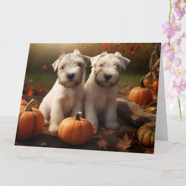 Wheaten Terrier Puppy Autumn Delight Pumpkin Card (Orchid)