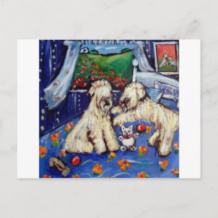 Wheatens on bed with teddy bear postcard
