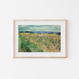 Wheatfield with Cornflowers   Vincent van Gogh Poster