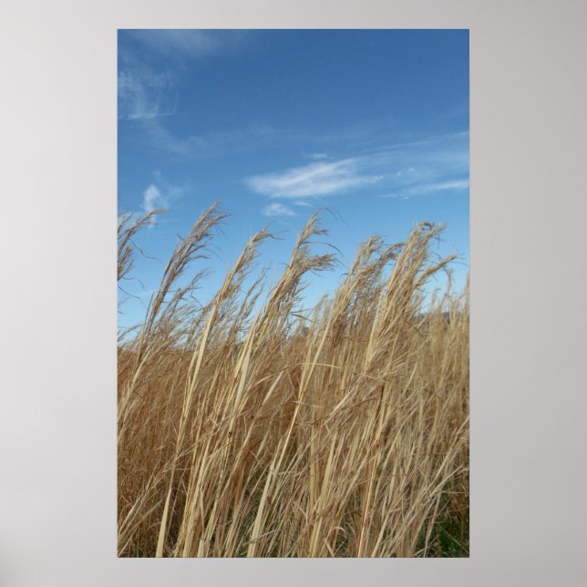 Wheatgrass Poster (Front)