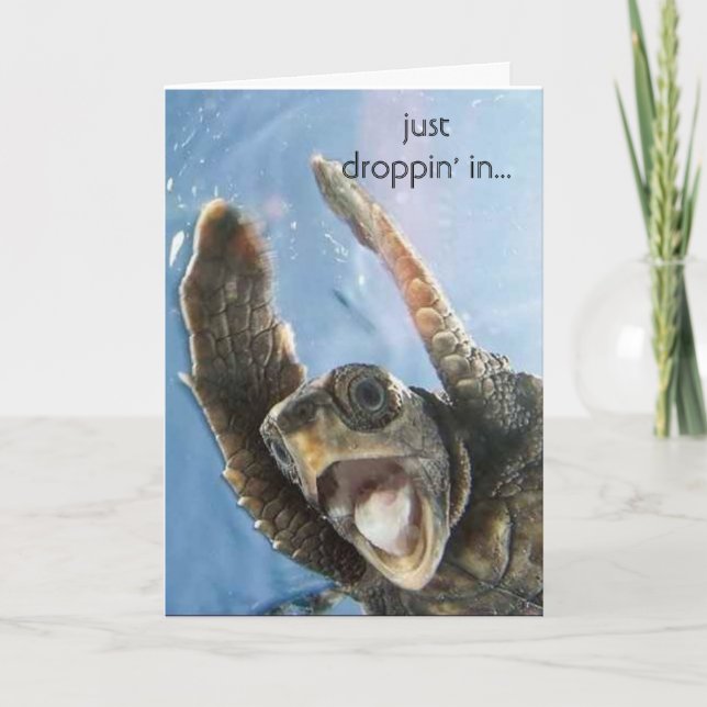 wheeeeeeeee turtle, just droppin' in... card (Front)