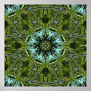 Wheel of herbs..... poster