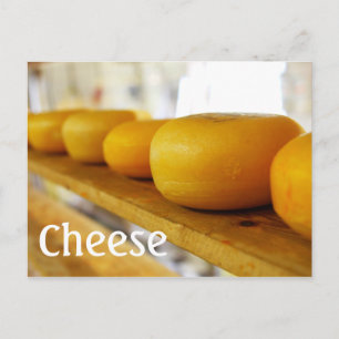 Wheels of Cheese Postcard