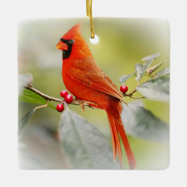 When a Cardinal Appears a Loved one from Heaven is Ceramic Ornament (Front)