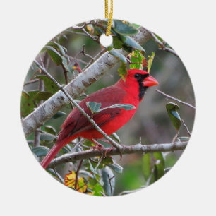 When a Cardinal Appears a Loved one from Heaven is Ceramic Tree Decoration