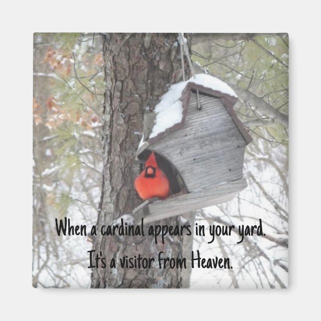 When a cardinal appears in your yard. Magnet.  Magnet (Front)