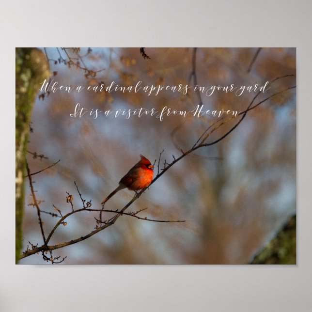 When a cardinal appears, photograph poster (Front)