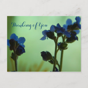 When Feeling Blue ... Postcard