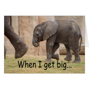 When I Get Big...