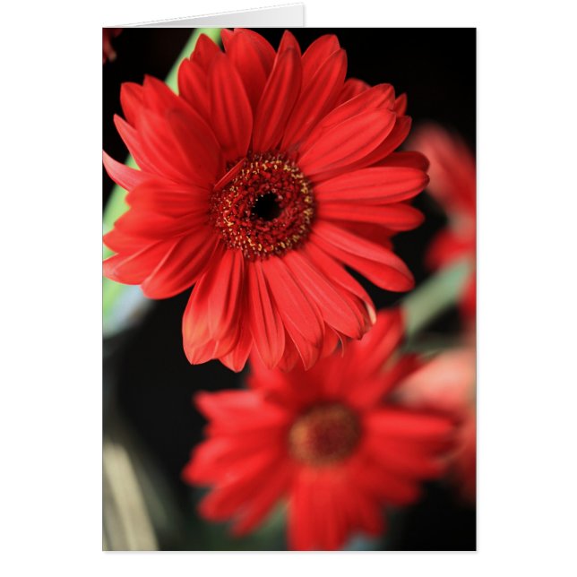 When I had an affair (Front)