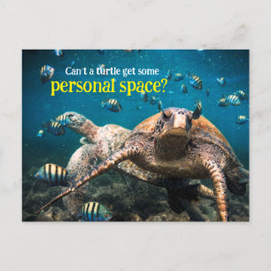 When life gets tough, just keep swimming postcard