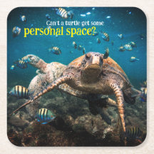 When life gets tough, just keep swimming