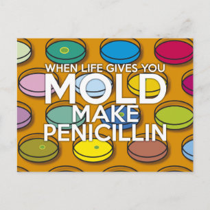 WHEN LIFE GIVE YOU MOLD POSTCARD