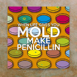 WHEN LIFE GIVES YOU MOLD MAKE PENICILLIN SCIENCE POSTER<br><div class="desc">When Life Gives You Mold Make Penicillin,  humorous science poster. A fun,  modern science science-inspired design to engage and brighten science teachers' classrooms,  science students' rooms or for anyone who is fascinated by science. Designed by Thisisnotme©</div>