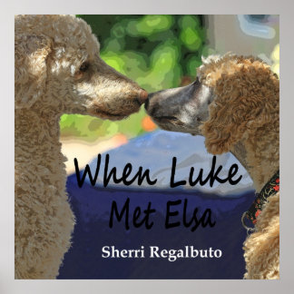 When Luke Met Elsa Poster