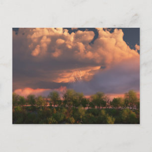 When March Blows Its Horn Postcard