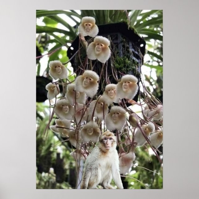 When nature copies nature. poster (Front)