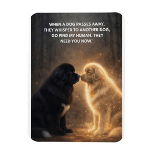 When one dog passes magnet