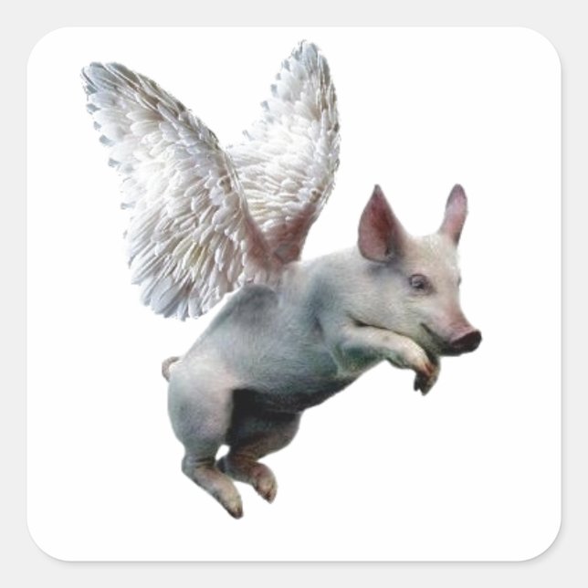 When Pigs Fly Square Sticker (Front)