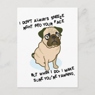 When pugs are sneezing postcard
