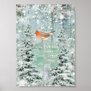 when robins appear christmas winter sign