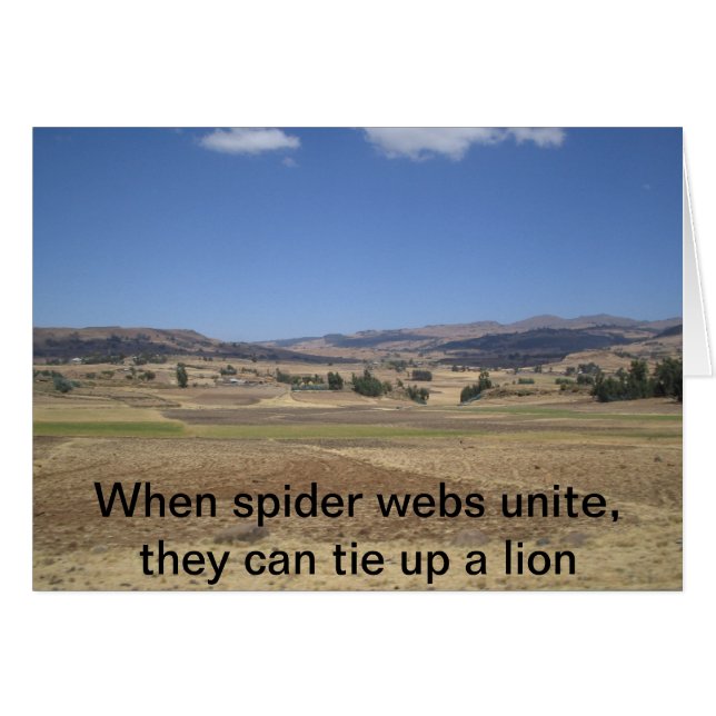 When spider webs unite, they can tie up a lion (Front Horizontal)
