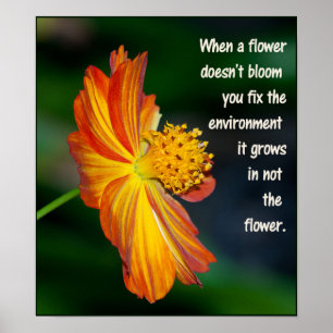 When the flower doesn’t bloom... poster