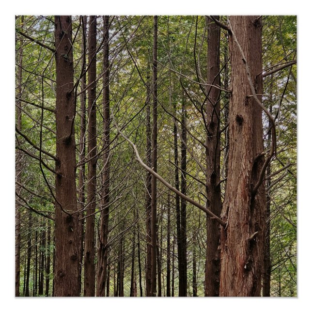 When the going gets tough, the tough get going poster (Front)