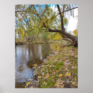 When the Leaves Play a Melody Poster