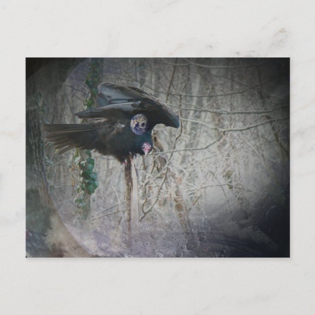 When Vulture Closes His Wings Postcard (Front)