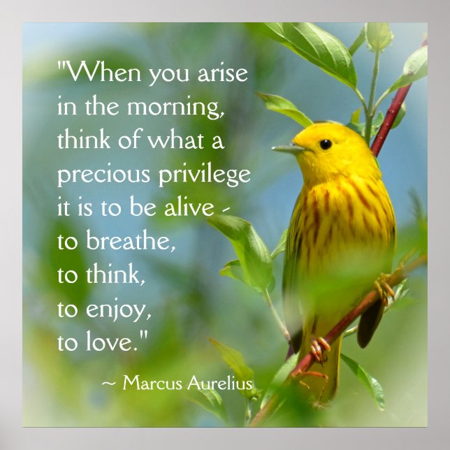 When You Arise Marcus Aurelius Inspiration Quote Poster (Front)