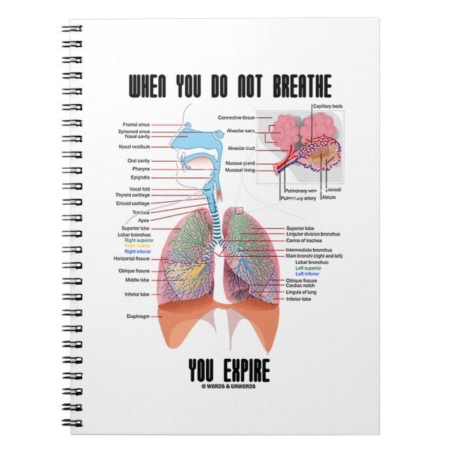When You Do Not Breathe Expire Respiratory System Notebook (Front)