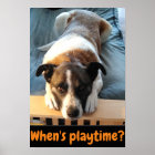 When's playtime? cute dog poster