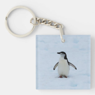 Where Am I Key Ring