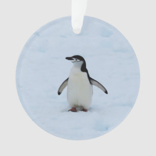 Where Am I Ornament
